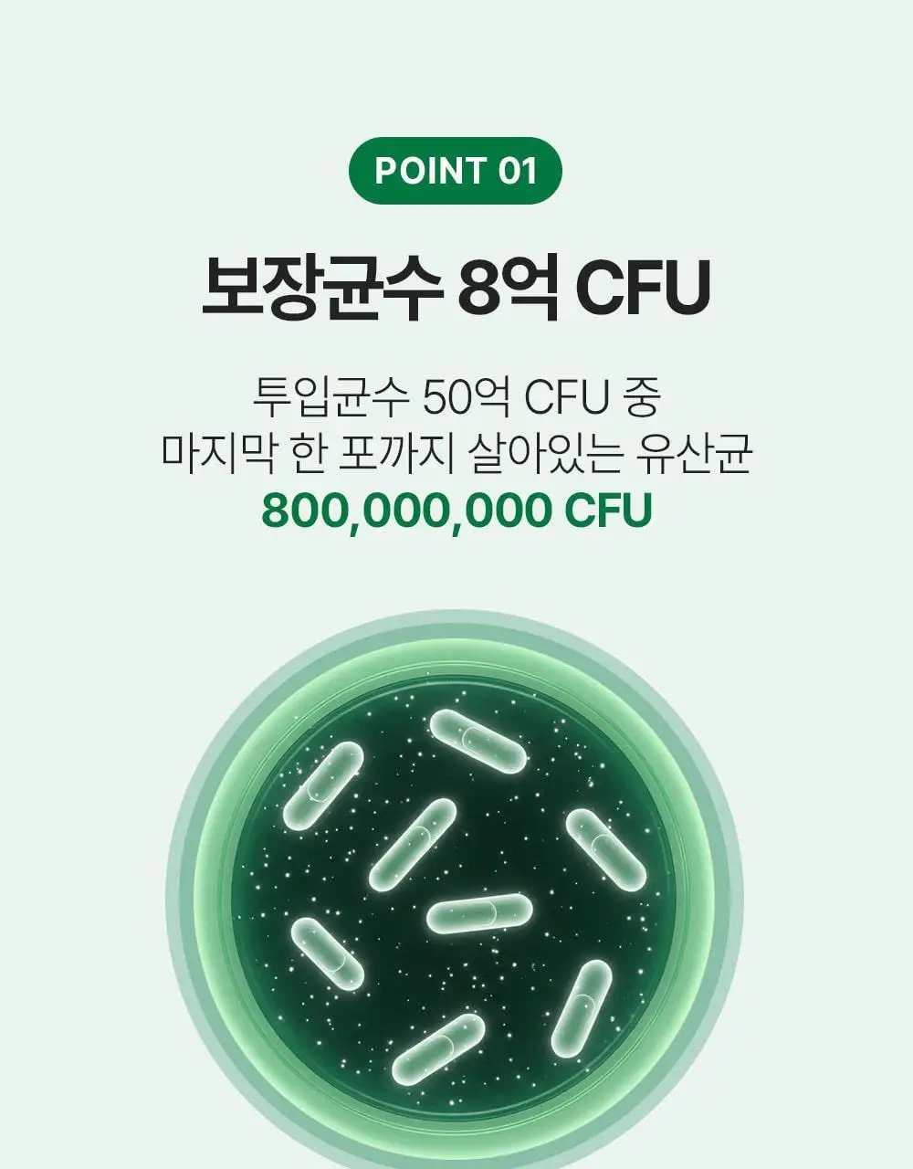 오바이오틱 밸런싱 덴탈 유산균 30정 상세페이지 13