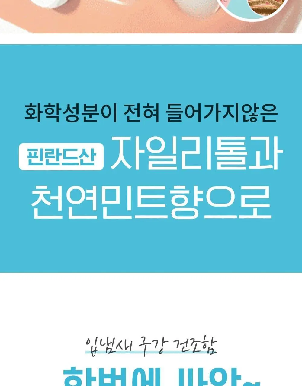 퍼지브러쉬 씹는 칫솔(5개입) 상세페이지 2