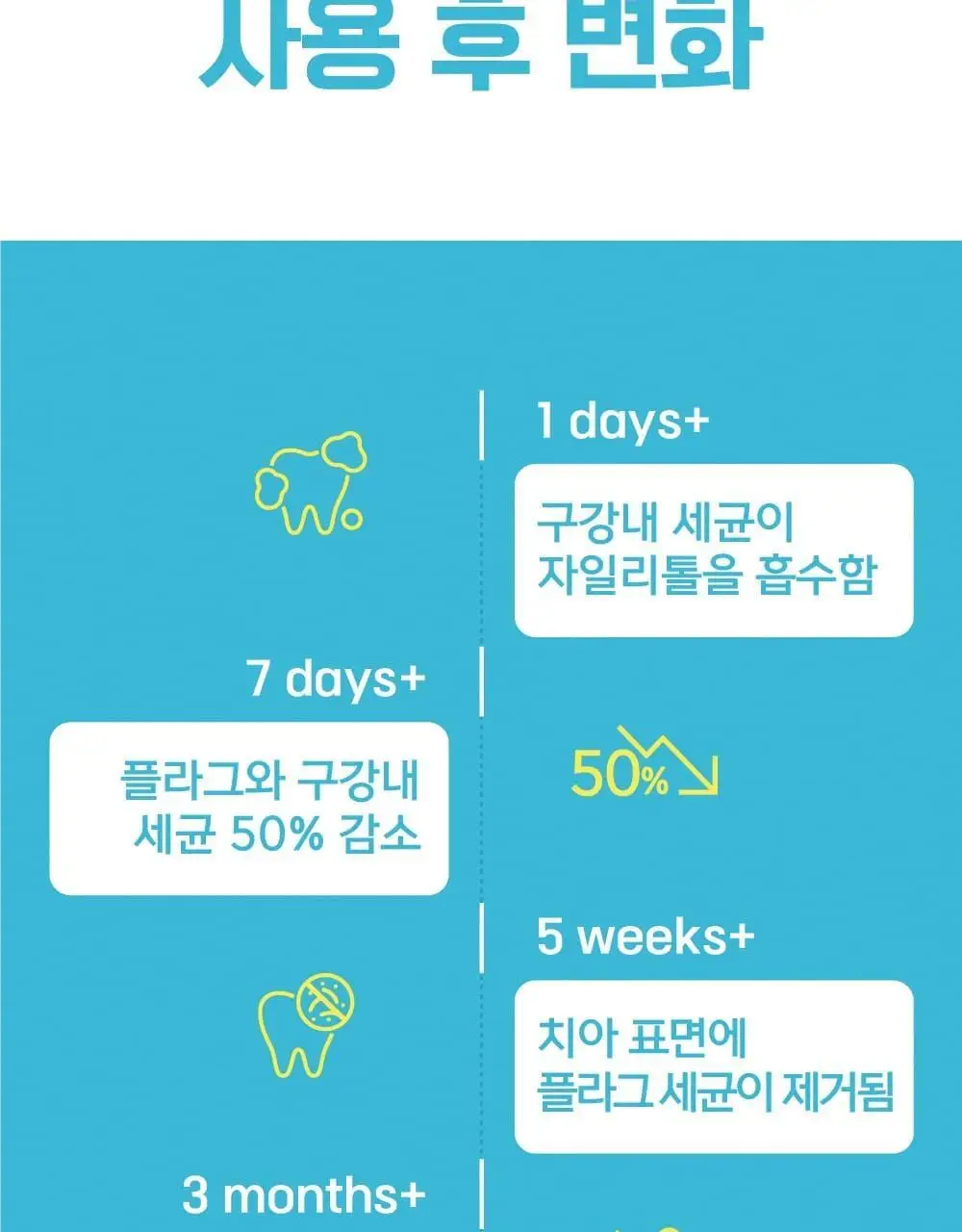 퍼지브러쉬 씹는 칫솔(5개입) 상세페이지 13