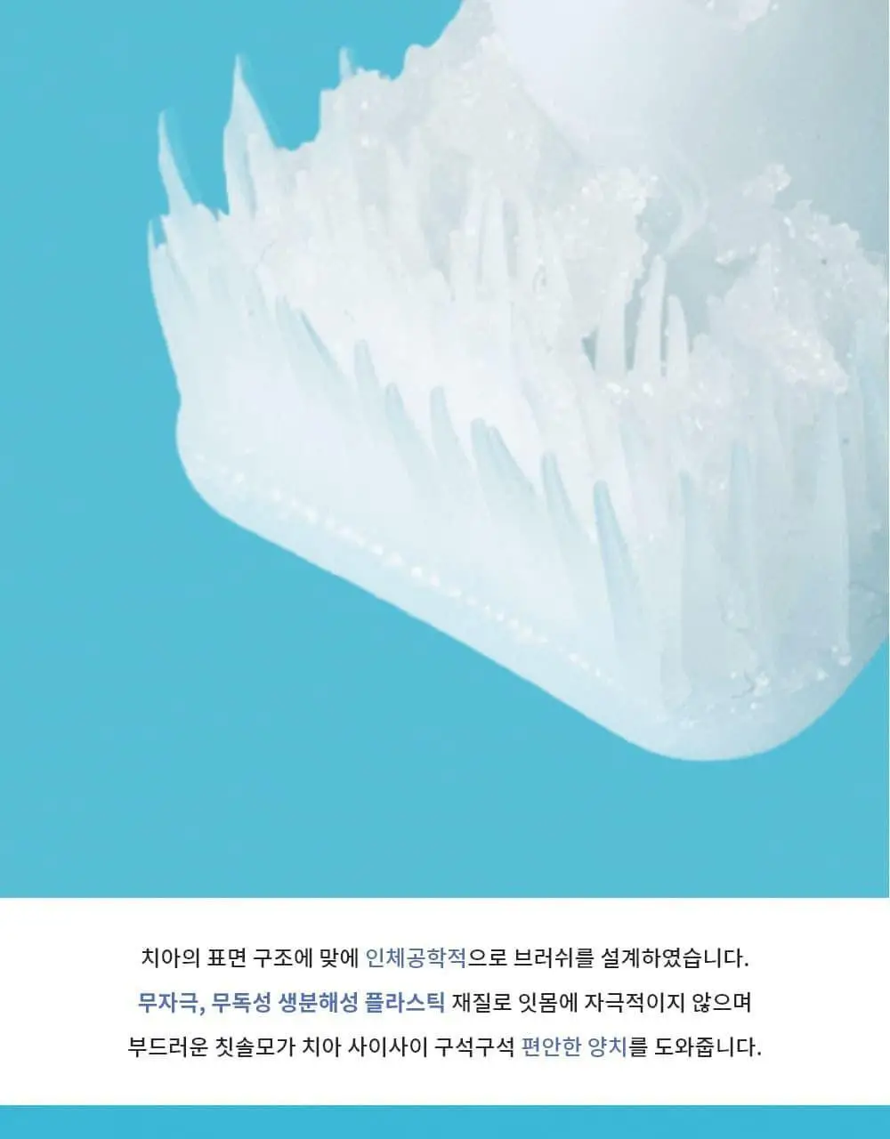 퍼지브러쉬 씹는 칫솔(5개입) 상세페이지 21