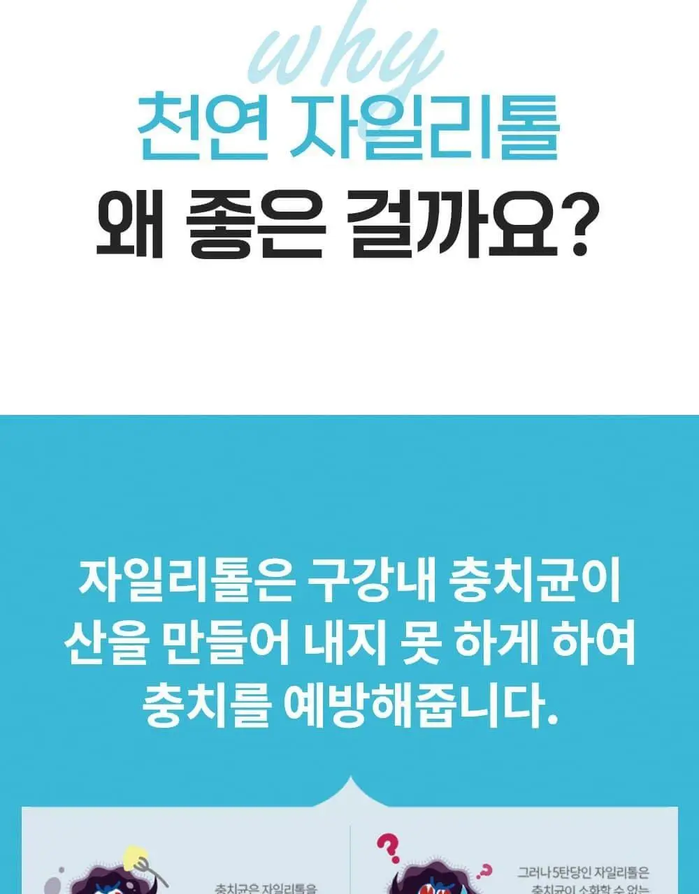 퍼지브러쉬 씹는 칫솔(5개입) 상세페이지 24