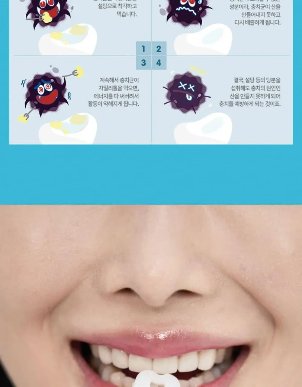 퍼지브러쉬 씹는 칫솔(5개입) 상세페이지 25