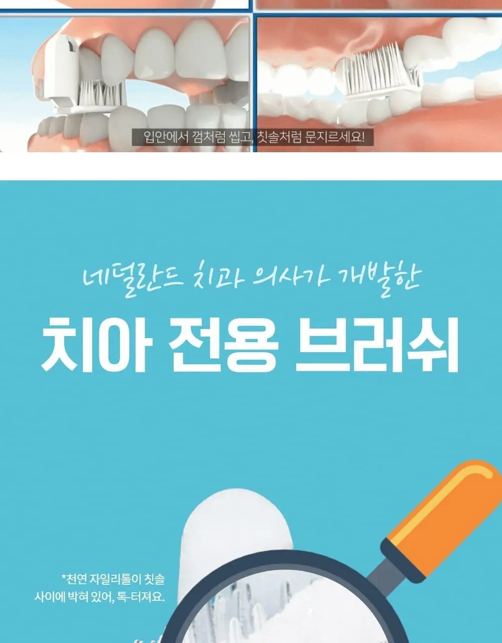 퍼지브러쉬 씹는 칫솔(5개입) 상세페이지 39