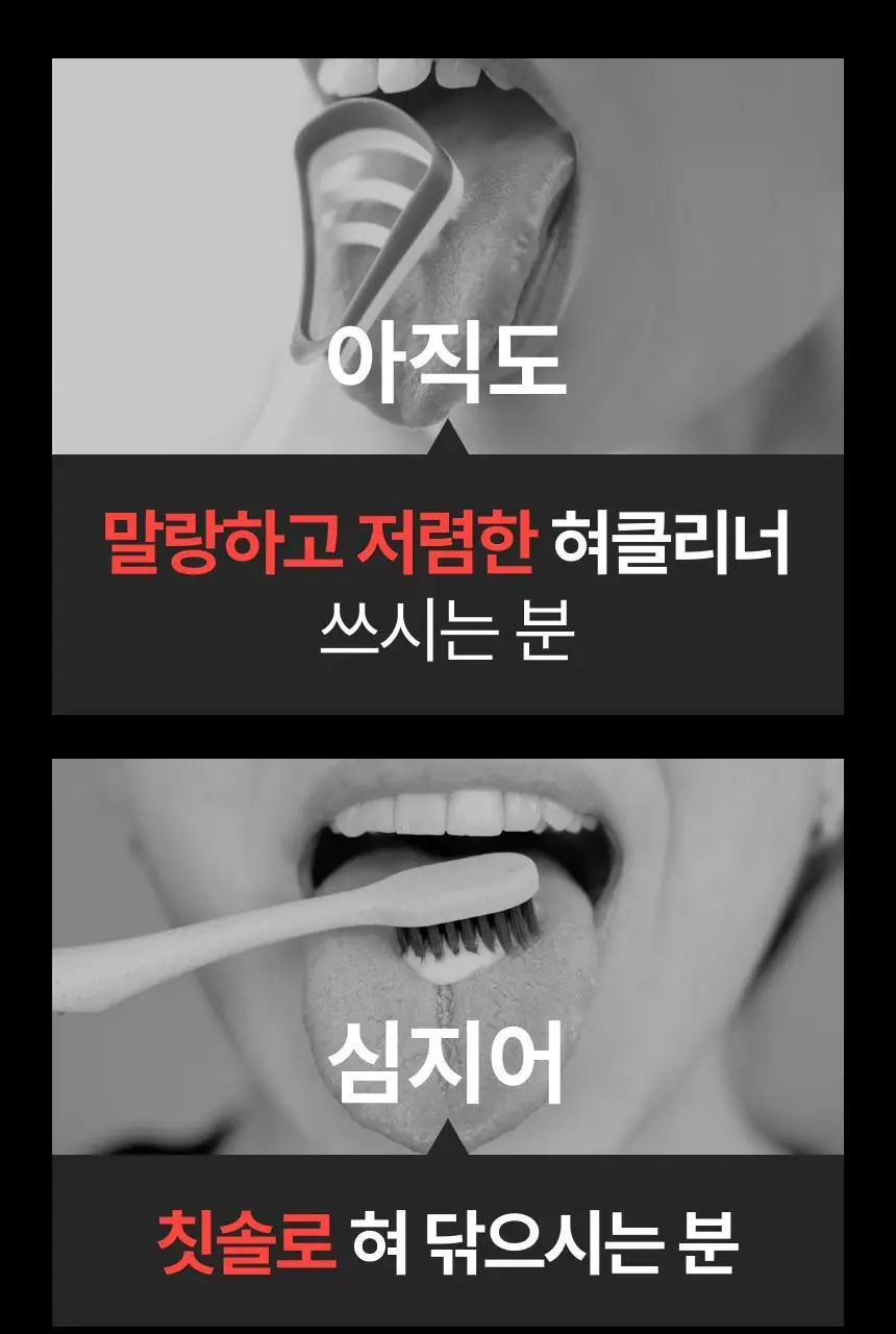 덴티마마 제로웨이스트 사탕수수 혀클리너 2종 택1 (그린 / 아이보리) 상세페이지 3