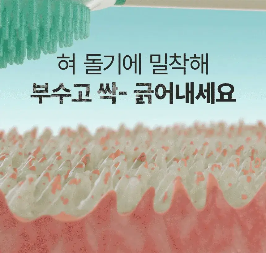라이브오랄스 퓨어테라피 괄사 혀클리너 상세페이지 2