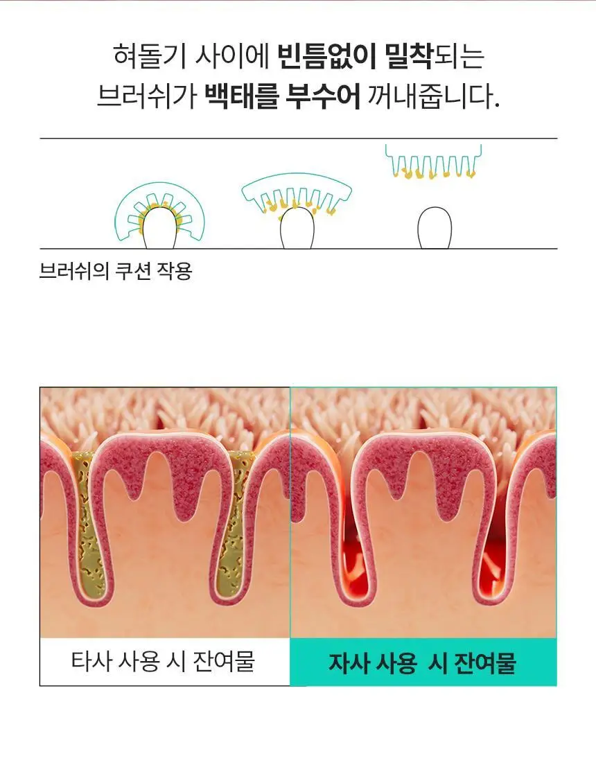 라이브오랄스 퓨어테라피 괄사 혀클리너 상세페이지 3