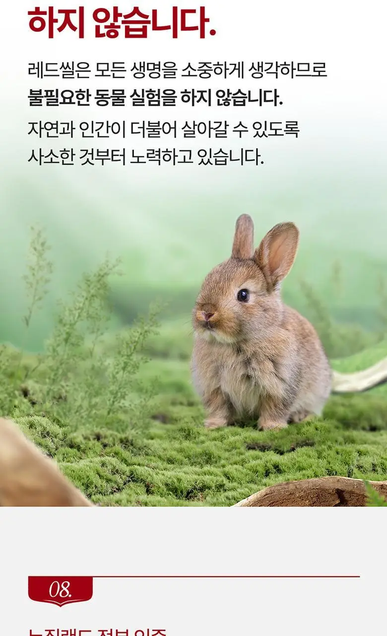 뉴질랜드 1위 레드씰 스모커스 치약 100g 상세페이지 15