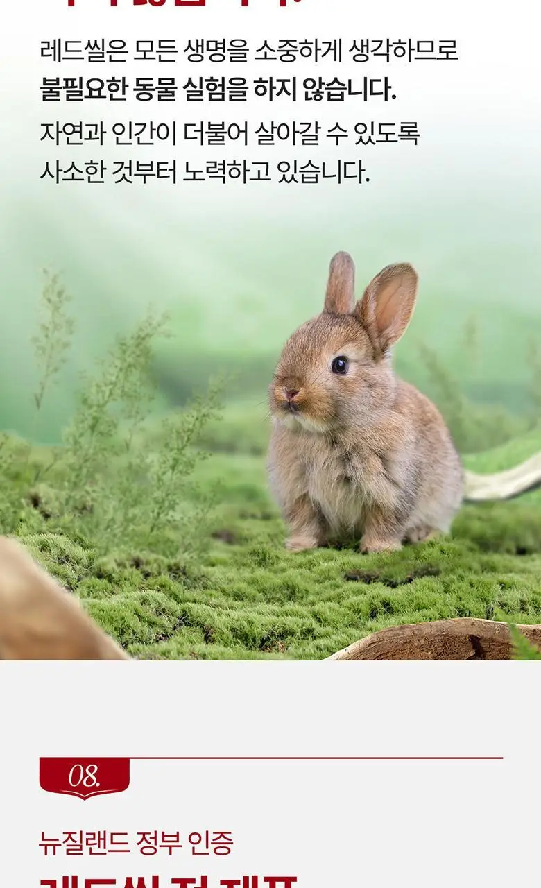 뉴질랜드1위 레드씰 프로폴리스 민트 치약 100g (구취제거율98%) 상세페이지 18