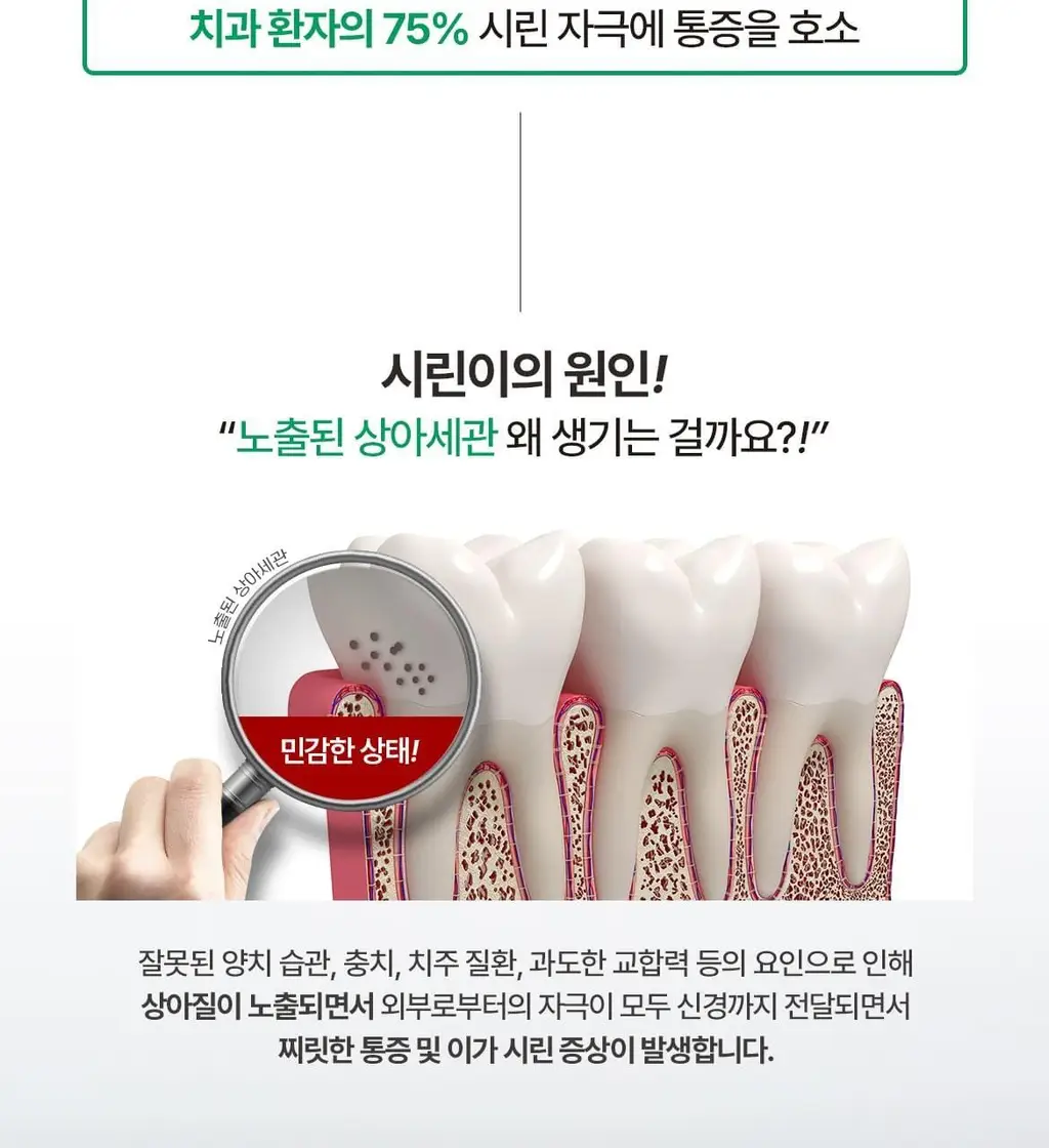 닥스메디 닥트러스트 치약 3종 택1 (1S/2X/프로엔프리) 상세페이지 5