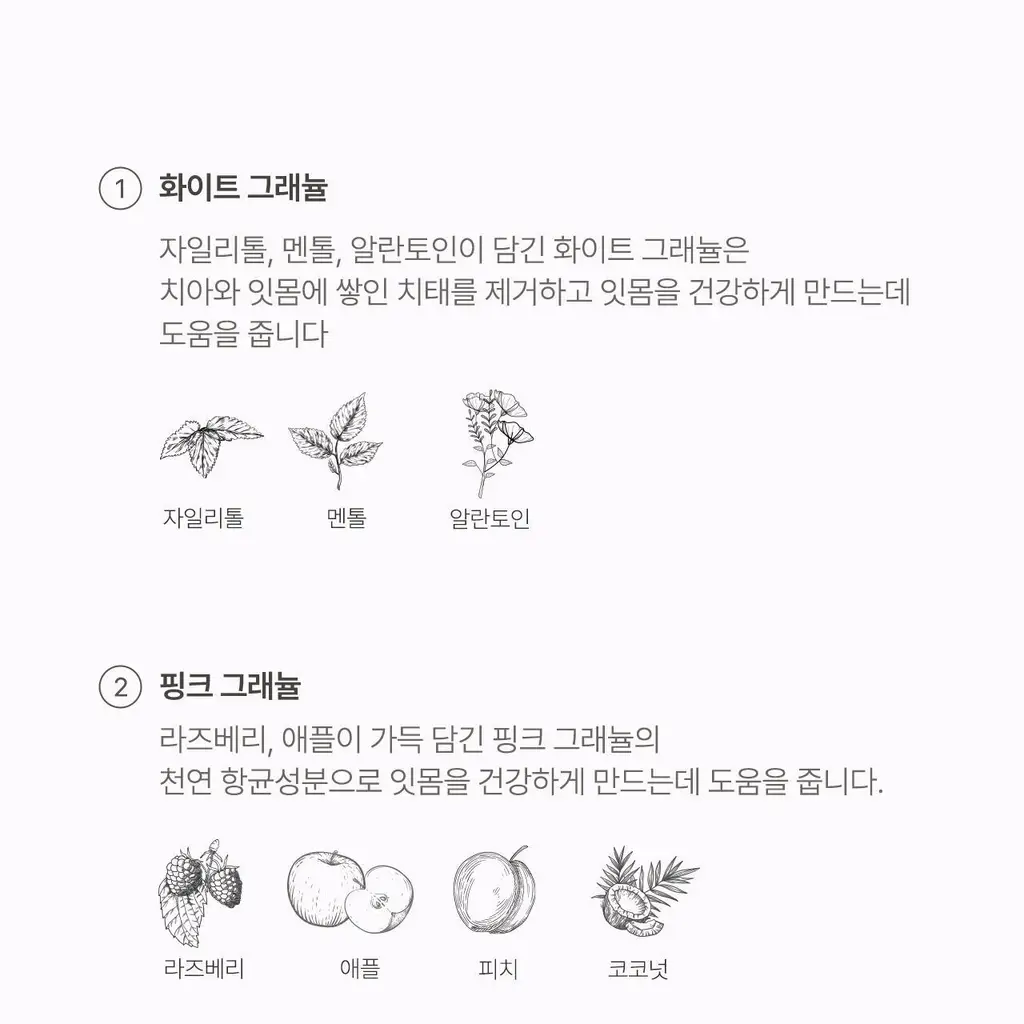 덴클 그래뉼치약 스위트민트 상세페이지 16