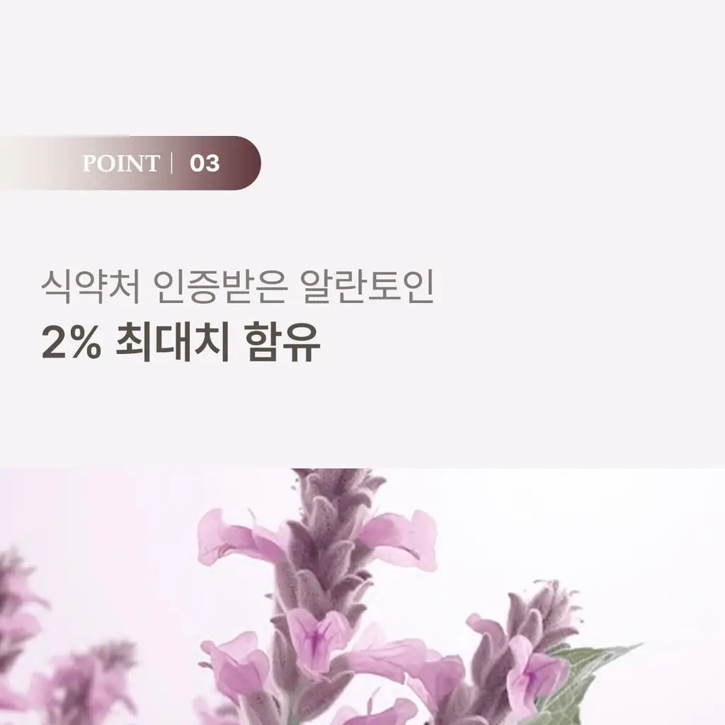 덴클 그래뉼치약 스위트민트 상세페이지 24