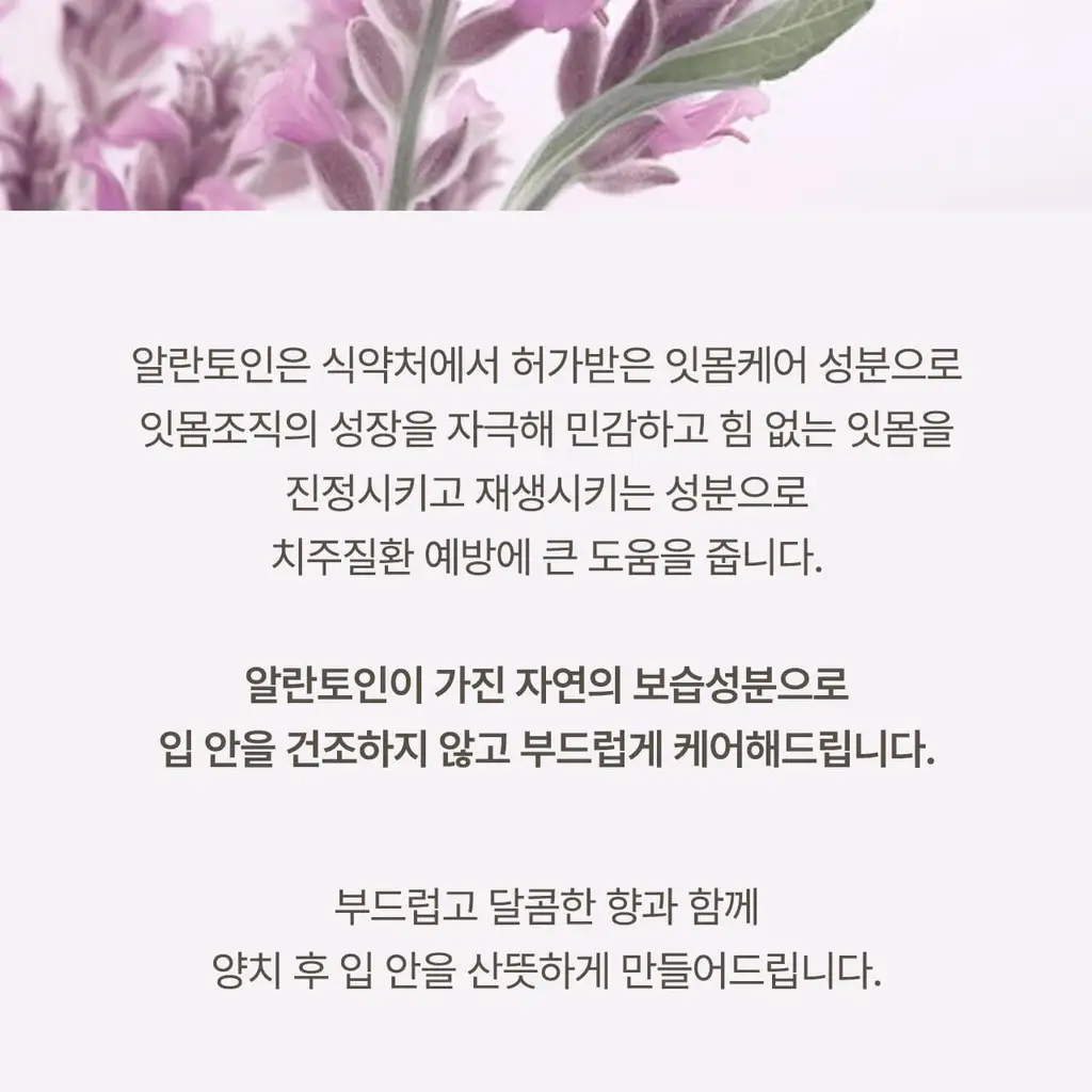 덴클 그래뉼치약 스위트민트 상세페이지 25