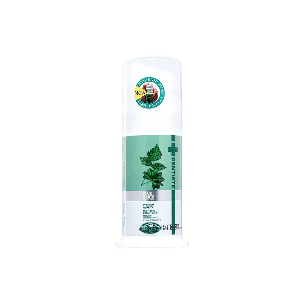 덴티스테 뉴 플러스화이트 펌프 치약 60g/120g 2종 택 1