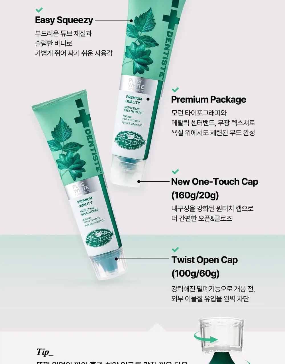 덴티스테 뉴플러스화이트 치약 튜브 160g 4개입/12개입 상세페이지 9