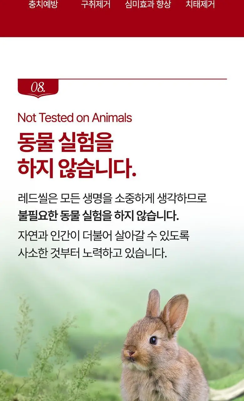 레드씰 치약 4종 (택1) 상세페이지 16