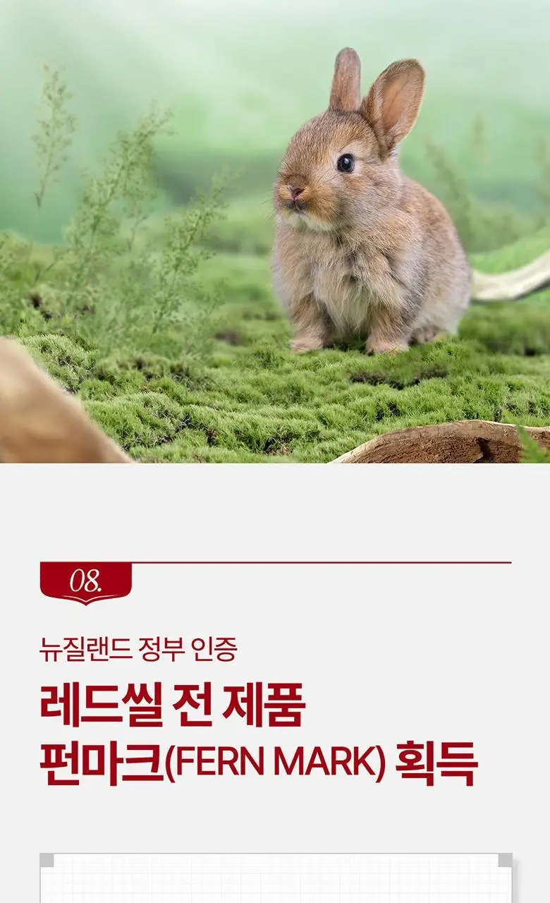 레드씰 치약 4종 (택1) 상세페이지 48