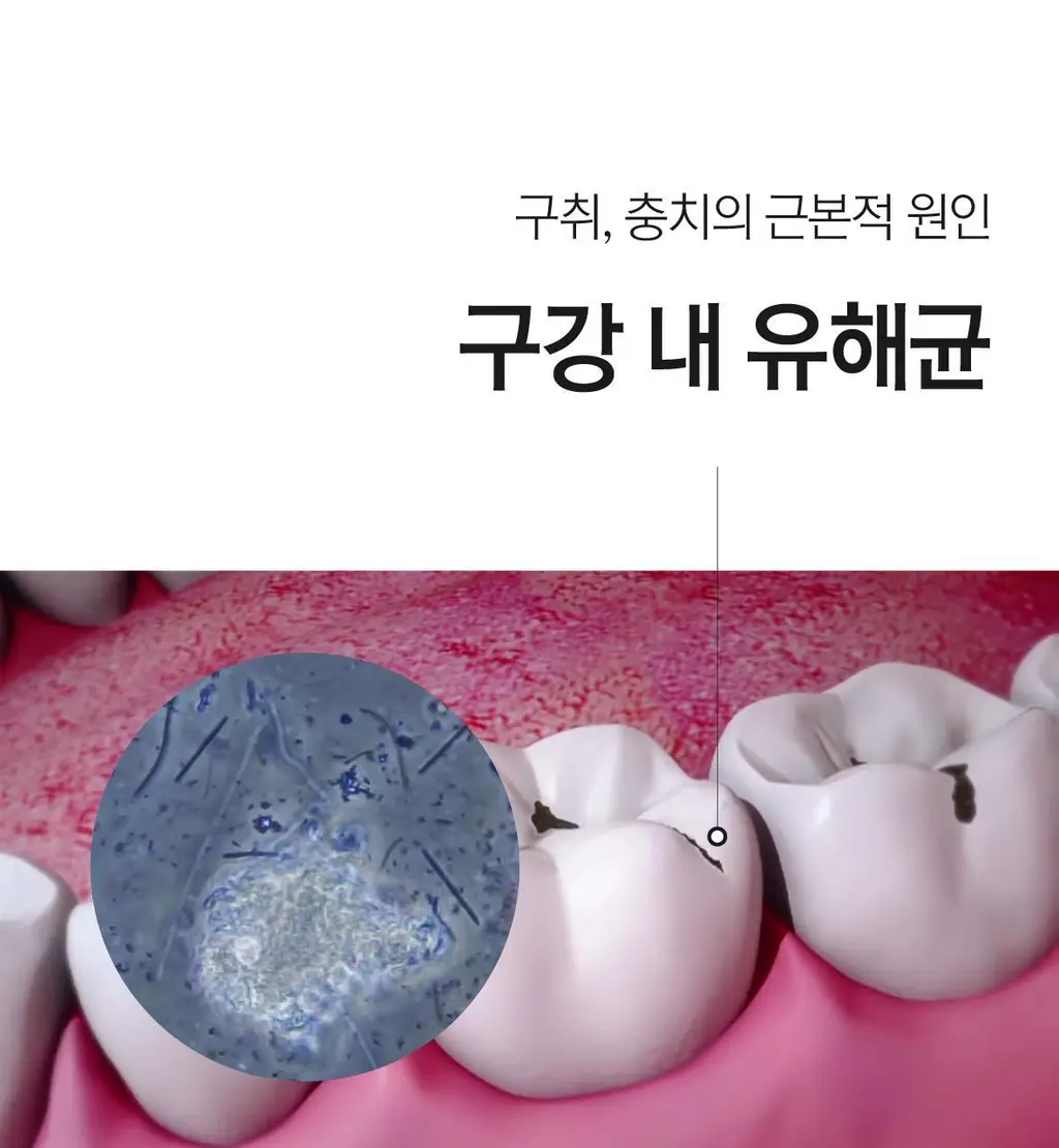 로로벨 와와치약 100g 5개입 상세페이지 19