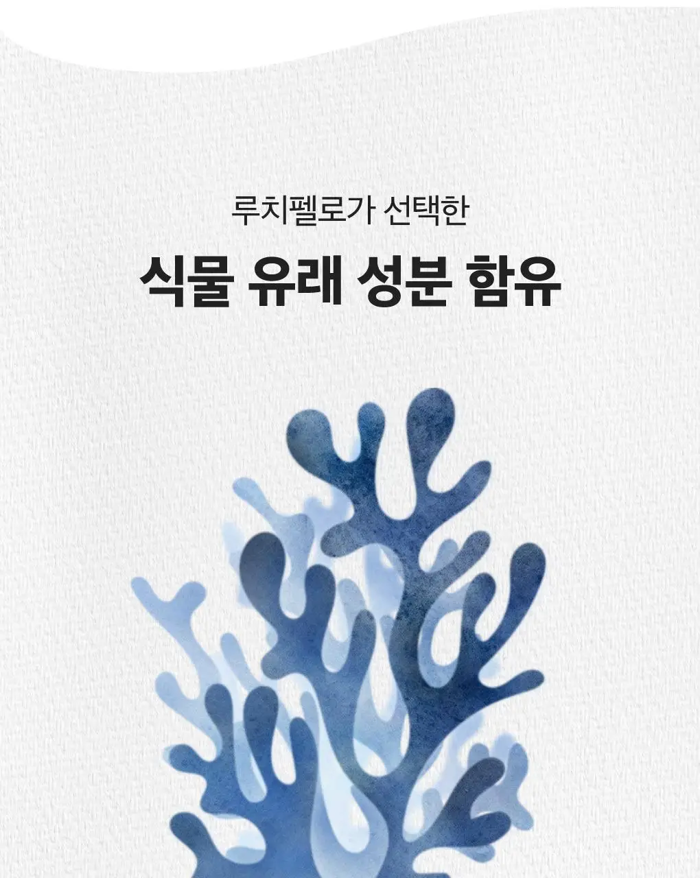 루치펠로 구취케어 듀오세트 기획 (미스틱포레스트 100g+1450 블루 120g) 상세페이지 35