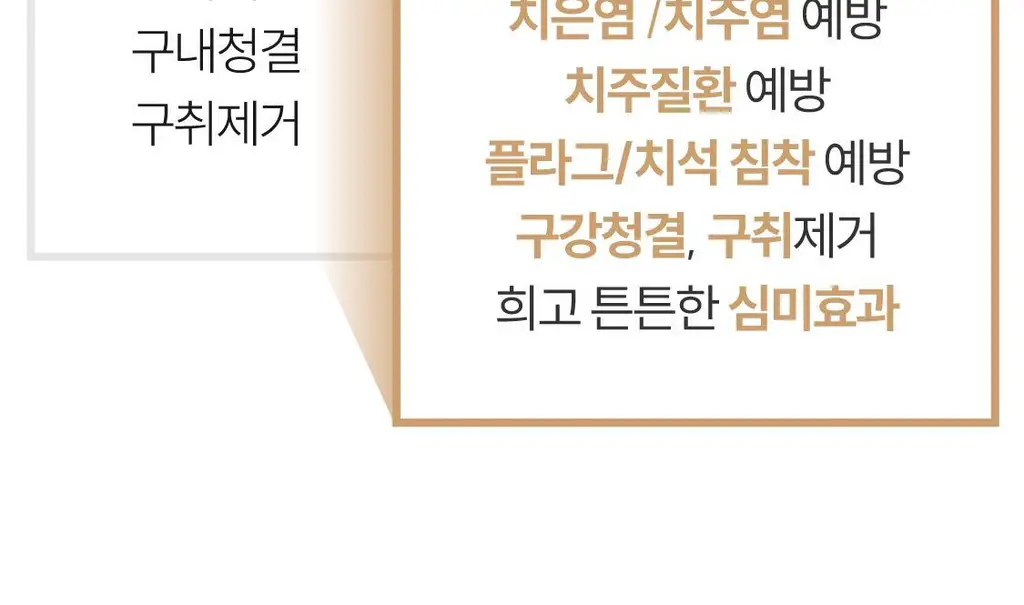 리브러쉬 오트밀 검케어 치약 100g 상세페이지 4