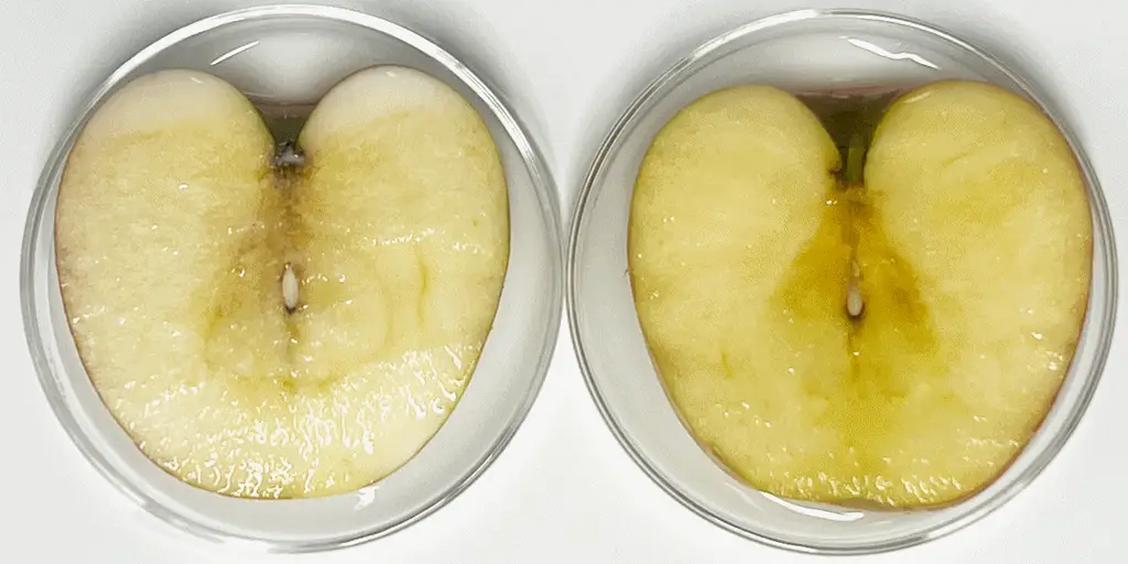 리브러쉬 오트밀 검케어 치약 100g 상세페이지 21