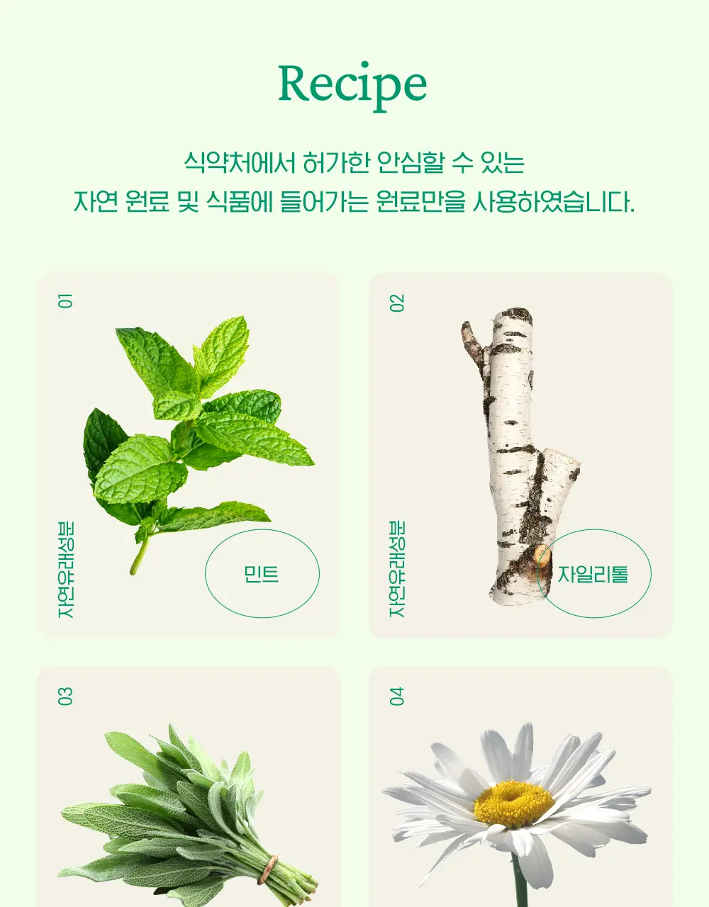 맛있는 치약 투스티 치약 80g 4종 택1 상세페이지 11