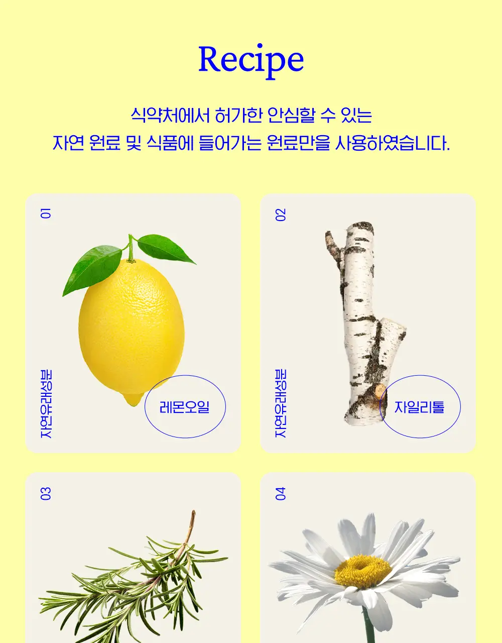 맛있는 치약 투스티 치약 80g 4종 택1 상세페이지 28