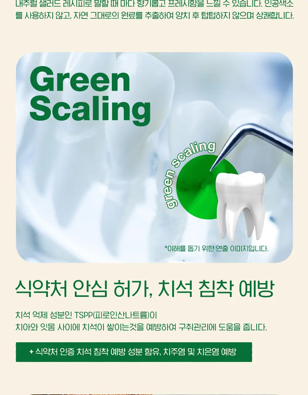 맛있는 치약 투스티 치약 80g 4종 택1 상세페이지 39