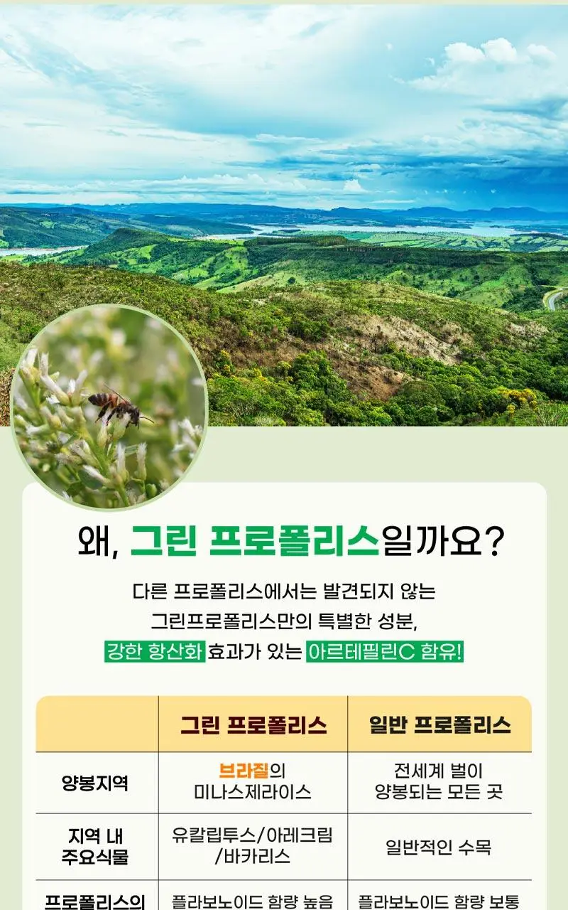 메디안 그린프로폴리스 치약 100G 3입(프레쉬민트/프레쉬피치) 상세페이지 4