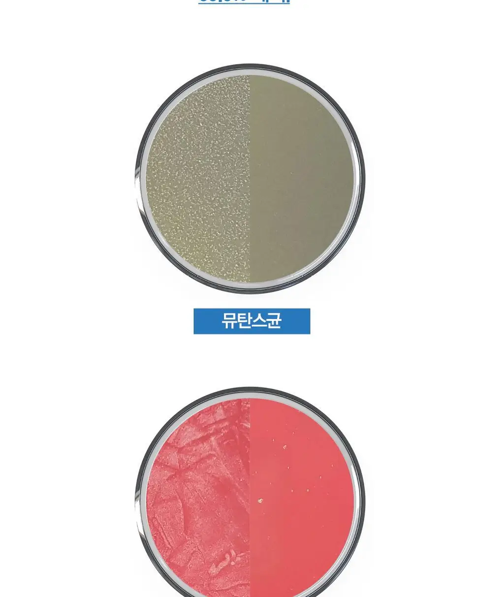 벨레다 소금 치약 75ml 상세페이지 8