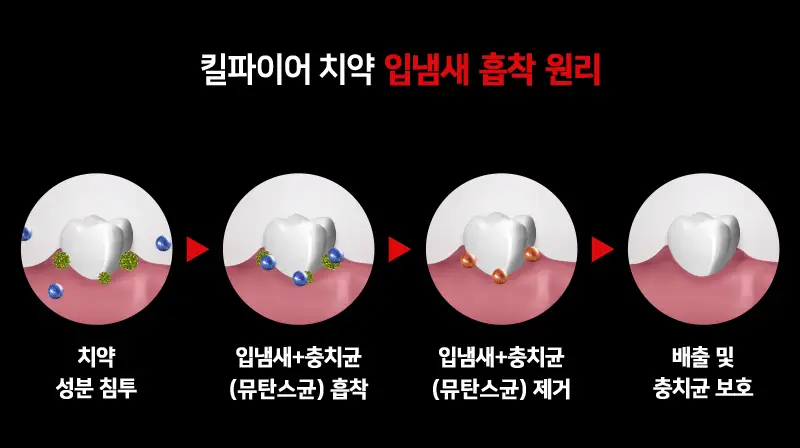 빠이러스 킬파이어 치약 상세페이지 26
