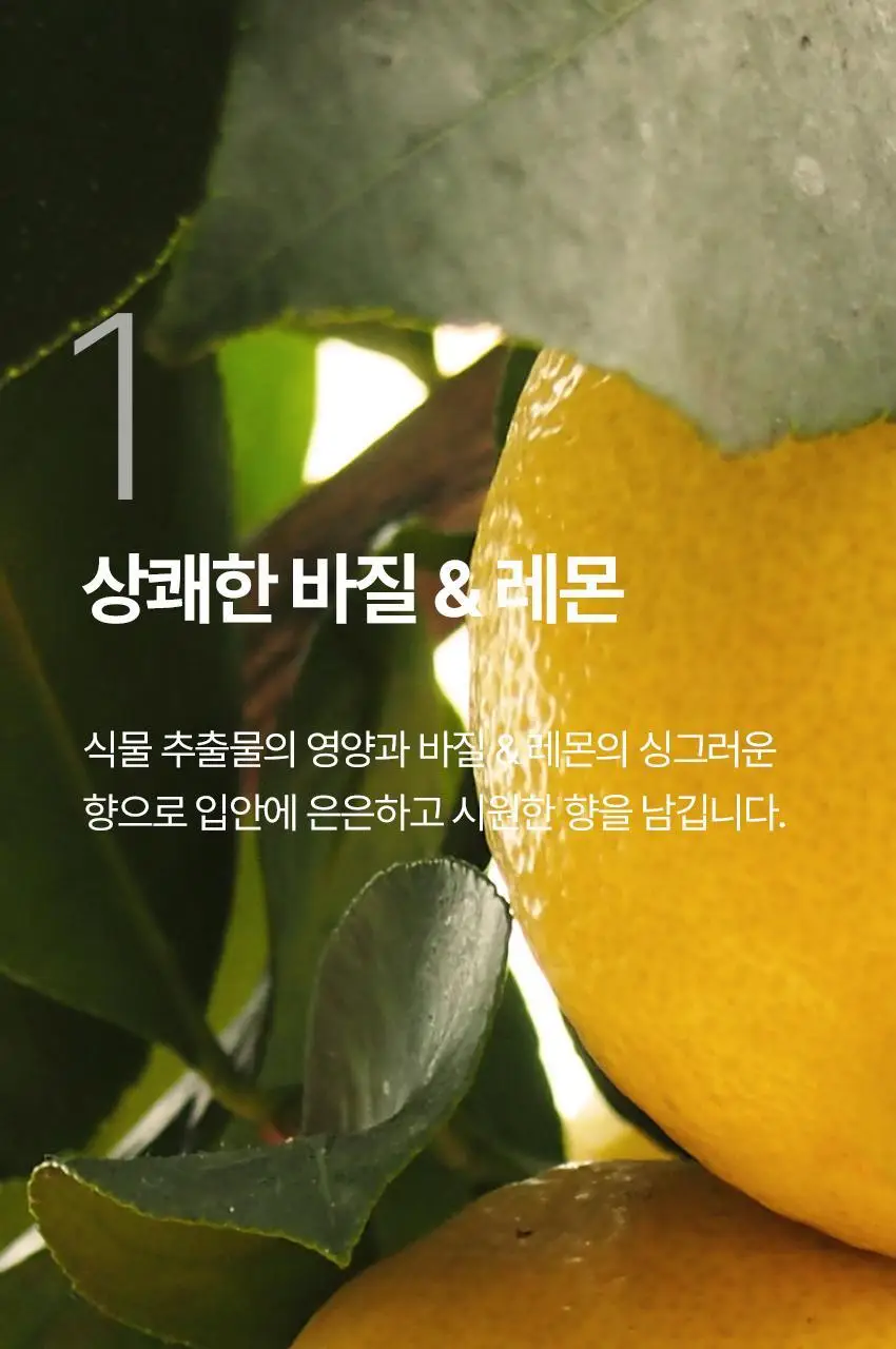 쏘두위 리프레시 바질레몬 치약 상세페이지 10