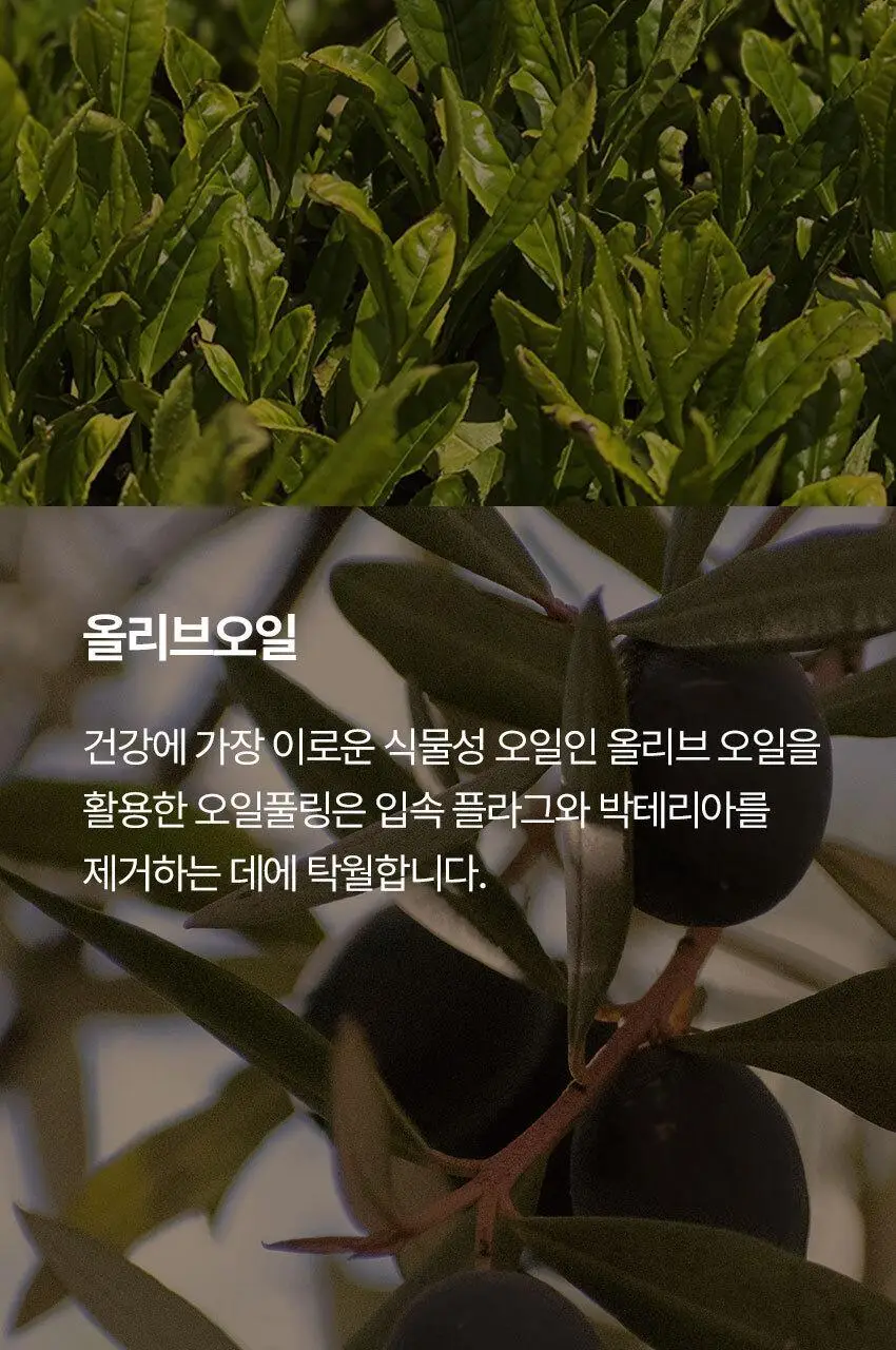 쏘두위 리프레시 바질레몬 치약 상세페이지 15