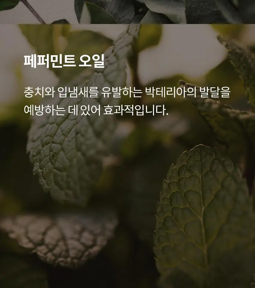 쏘두위 오일풀링 비건 치약100g 상세페이지 13