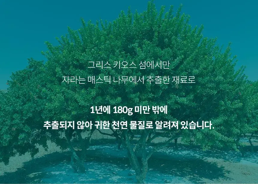아쿠아픽 메스틱 치약 100g 상세페이지 8