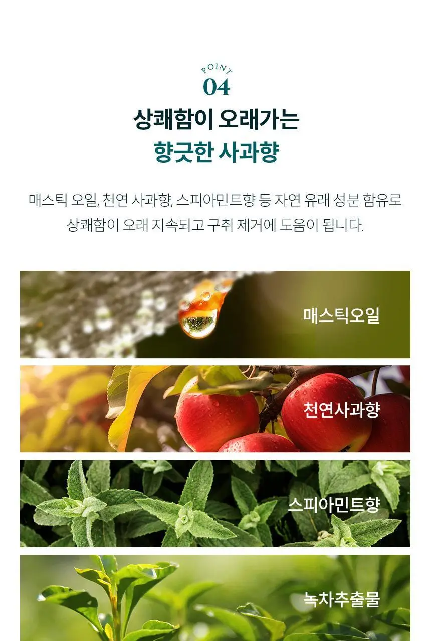 아쿠아픽 메스틱 치약 100g 상세페이지 13
