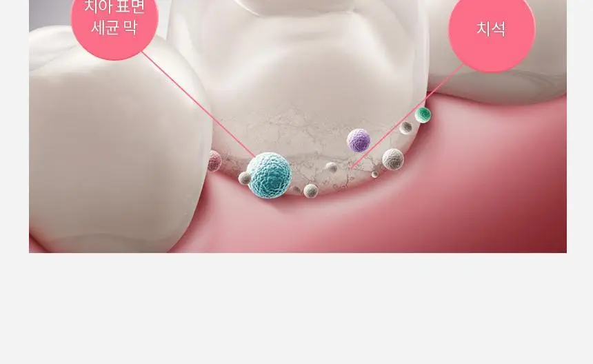 아쿠아픽 유산균 치약 130g 상세페이지 5