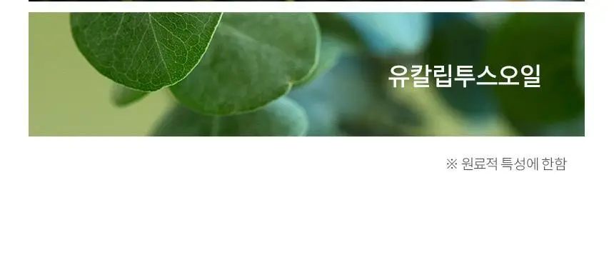 아쿠아픽 유산균 치약 130g 상세페이지 13