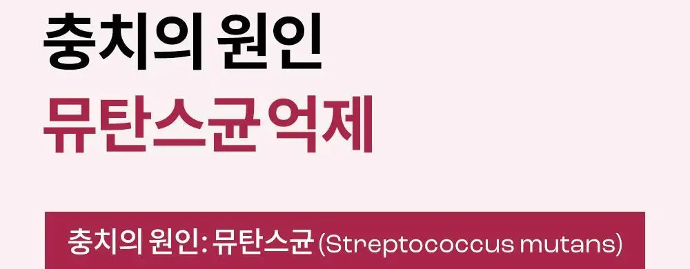 언파 차차 치약 4종 택1 상세페이지 69