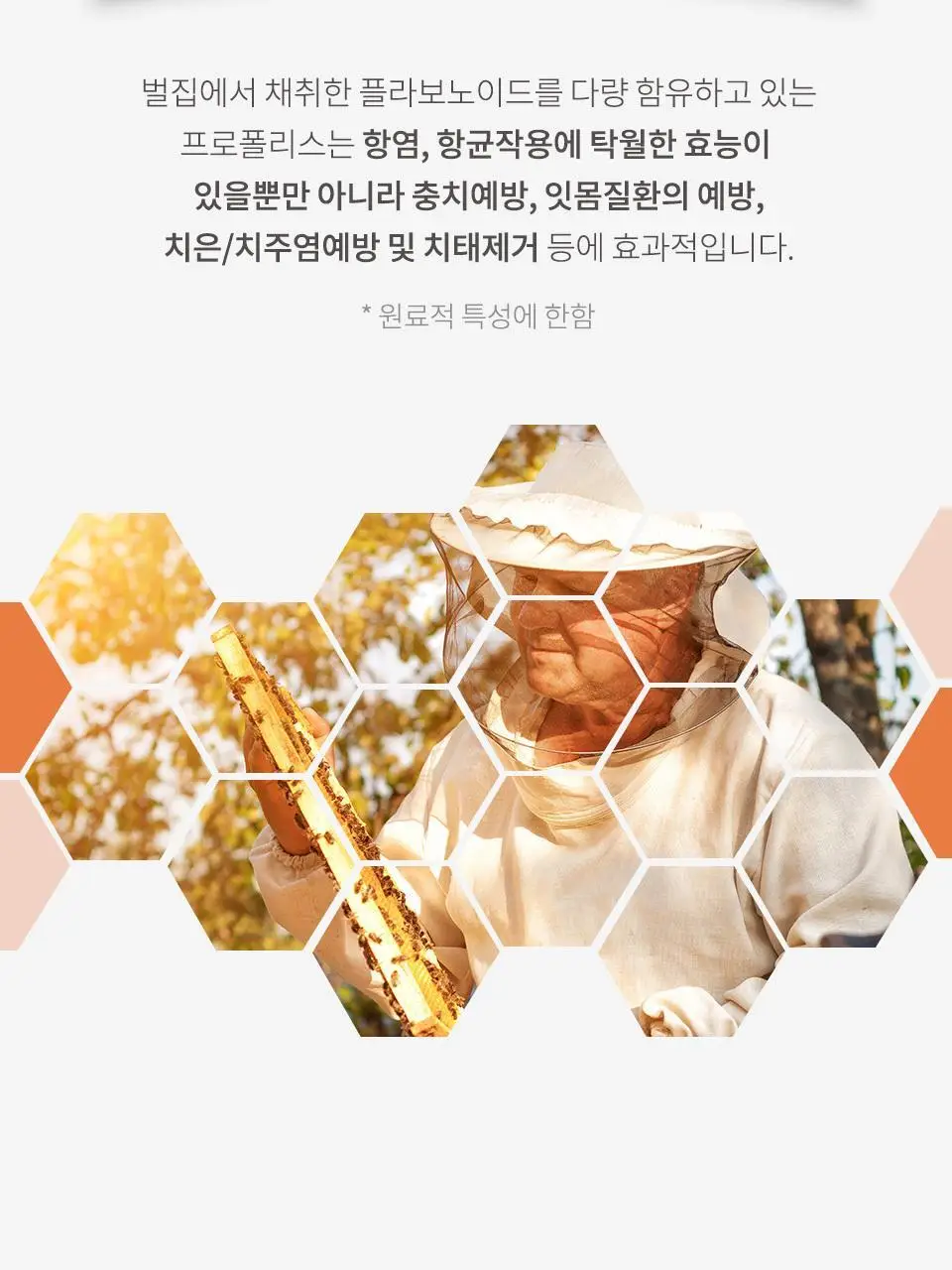 유키위 치약 120g 3종 중 택1 상세페이지 8