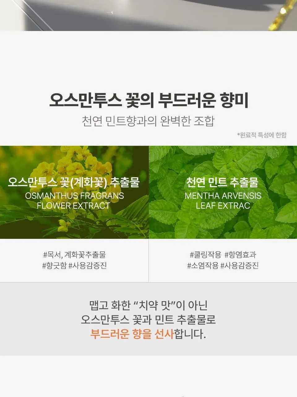 유키위 치약 120g 3종 중 택1 상세페이지 10