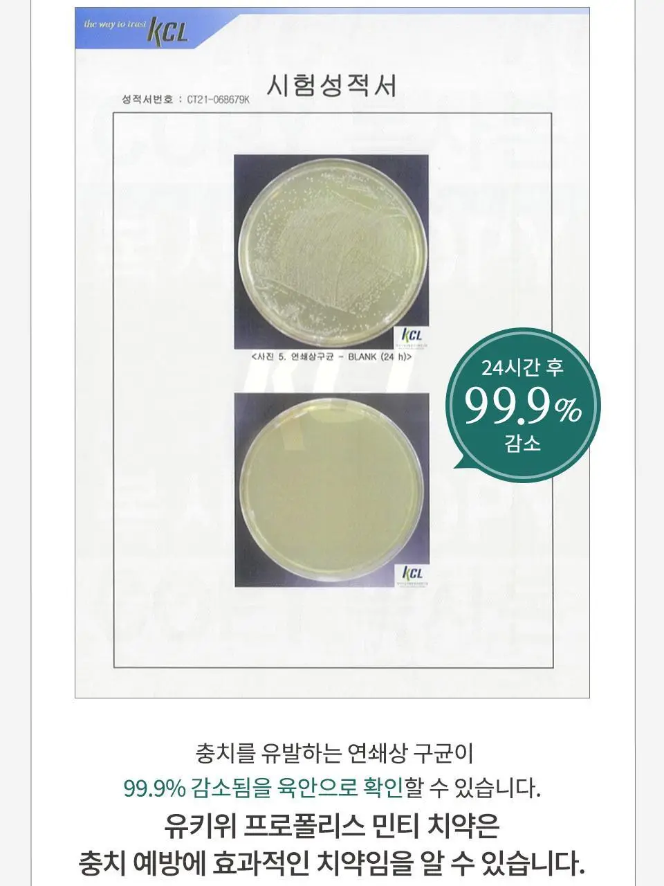 유키위 치약 120g 3종 중 택1 상세페이지 39