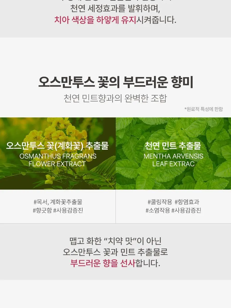 유키위 치약 120g 3종 중 택1 상세페이지 56