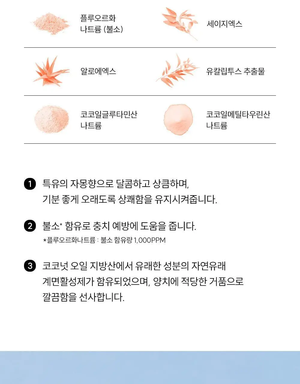 조르단 그린클린 자몽향 치약 100g 기획 (+25g) 상세페이지 13