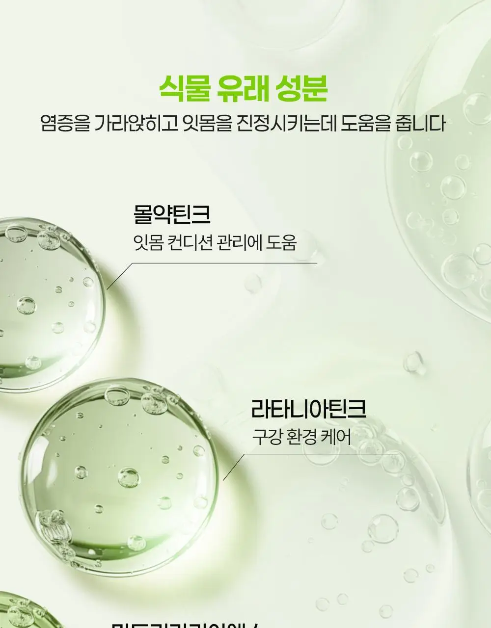 코랄리에 바질레몬 잇몸치약 90g 상세페이지 15