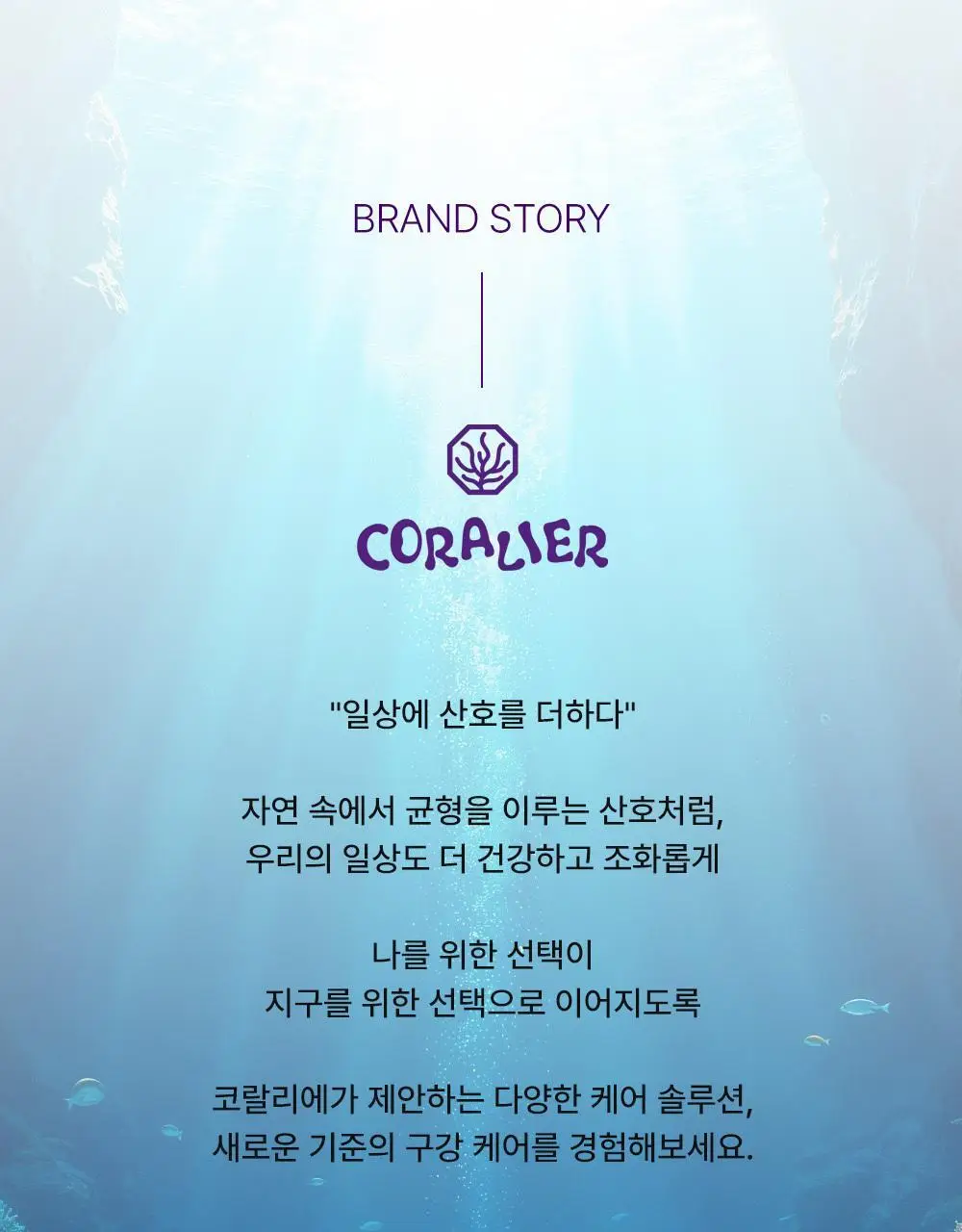 코랄리에 바질레몬 잇몸치약 90g 상세페이지 21