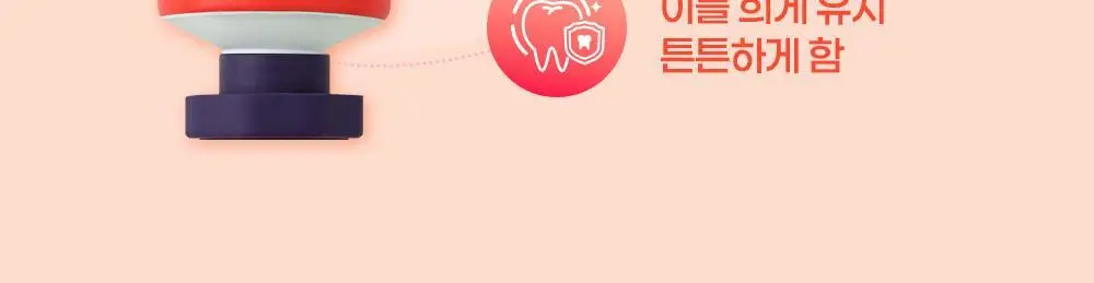 코랄리에 애플민트 미백치약 70g 상세페이지 13