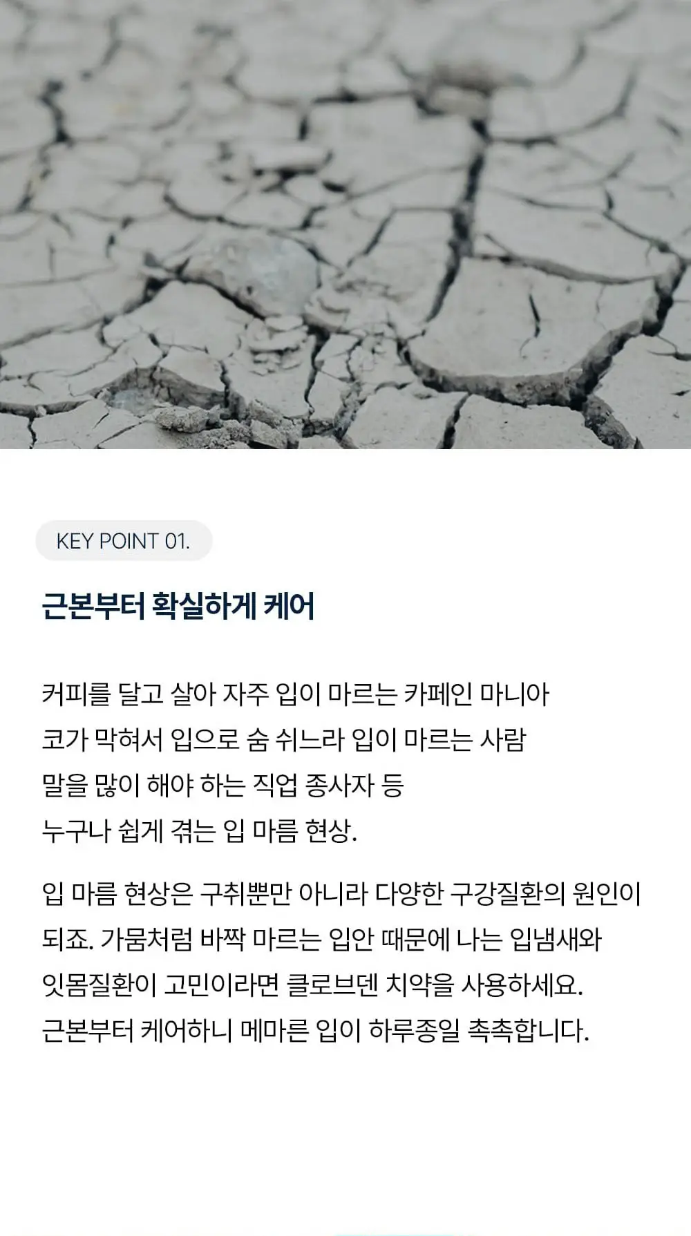 클로브덴 비건 혼합치약 100g 2종 택1(구취 케어/시린이 케어) 상세페이지 3