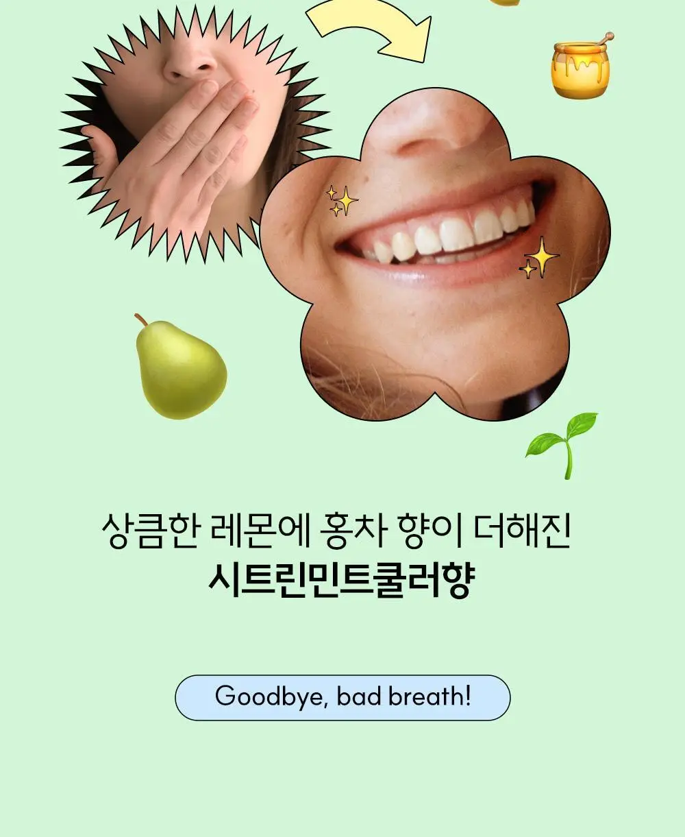 티치카 밸런스 스마일 치약 / 티치카 스마일 치실 민트쿨러 택 1 상세페이지 11