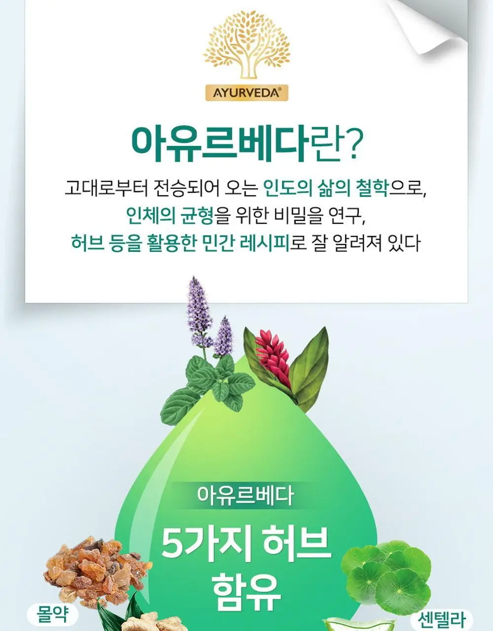 페리오 토탈7 메디컬허브 치약 100g 2종 택1 (바질민트 / 라임허브민트) 상세페이지 4