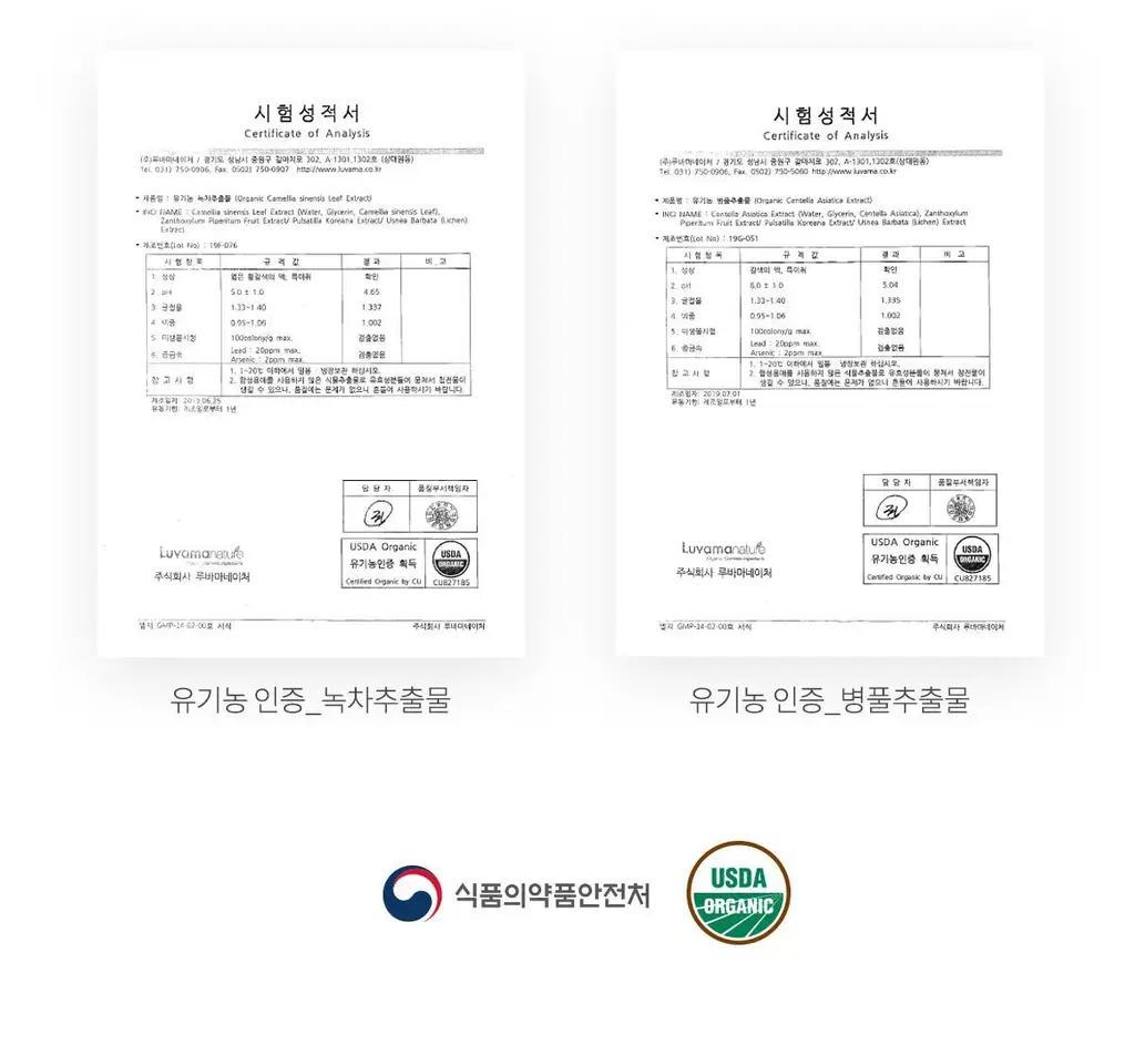 1950 제주 오가닉 치약 칫솔 선물세트 (100g 치약3종 + 칫솔6개입) 상세페이지 15